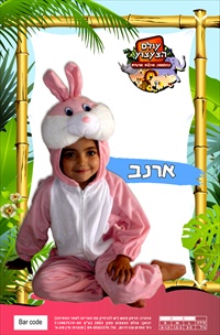 תחפושת ארנב