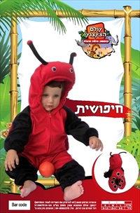 תחפושת חיפושית